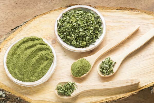 moringa oleifera beneficios